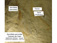 Gervillela perno�des