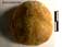 Echinoderme